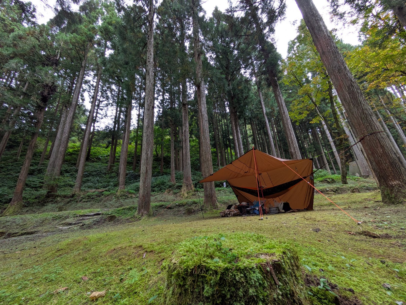 石川県県民の森