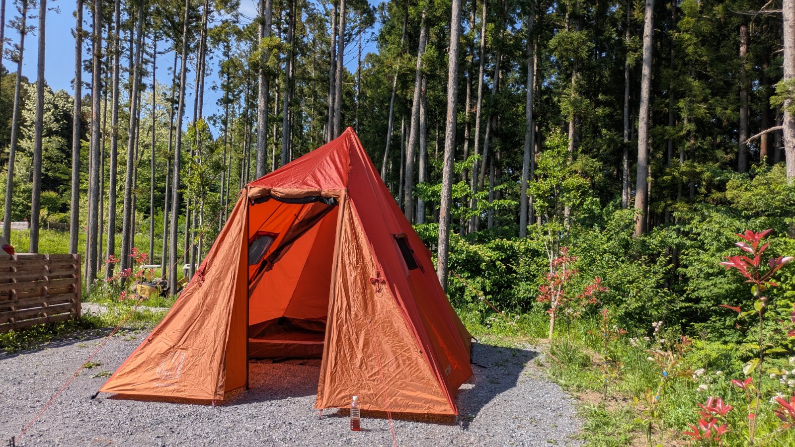 JUTE CAMP FIELD