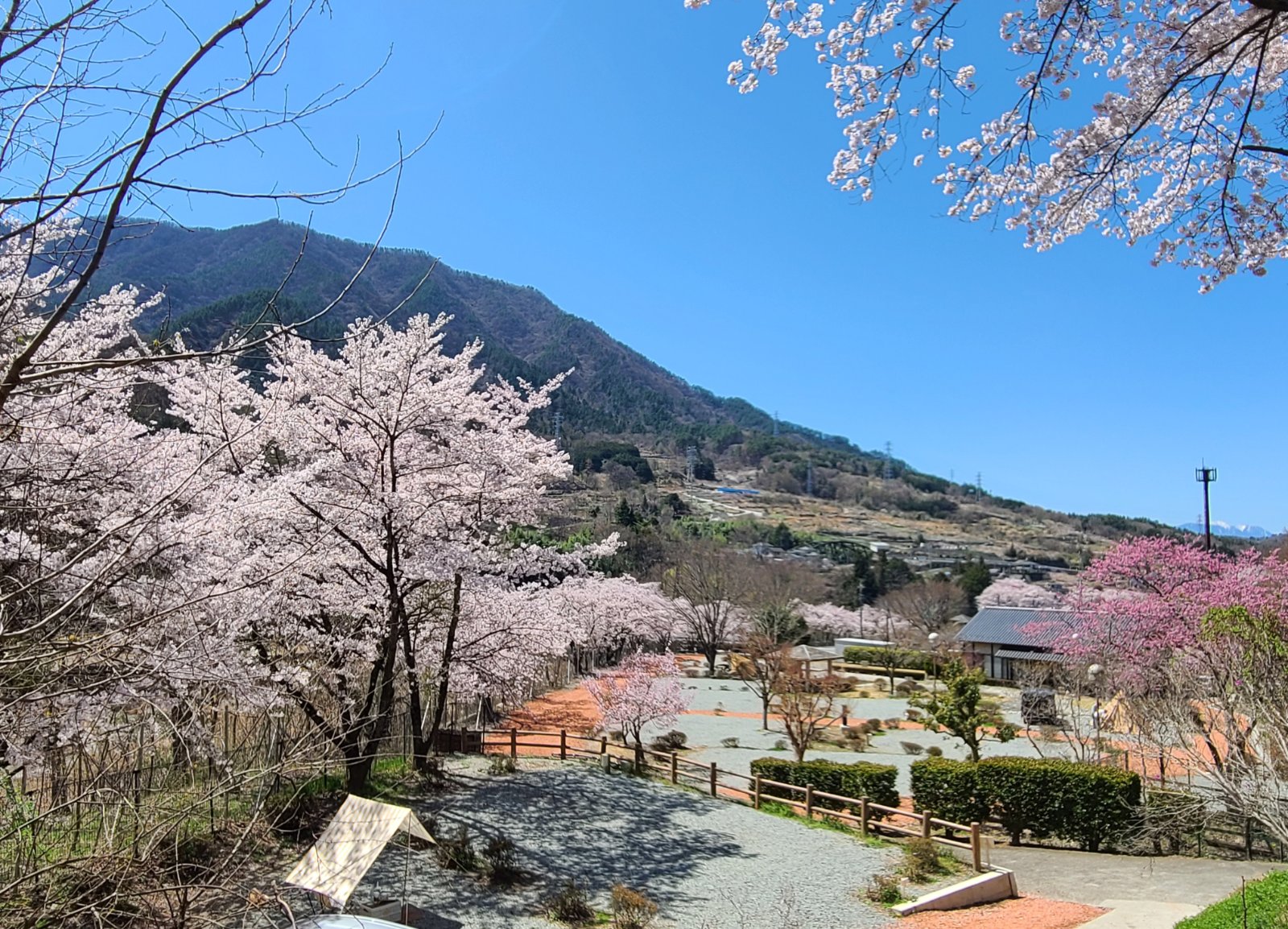 御坂路さくら公園オートキャンプ場