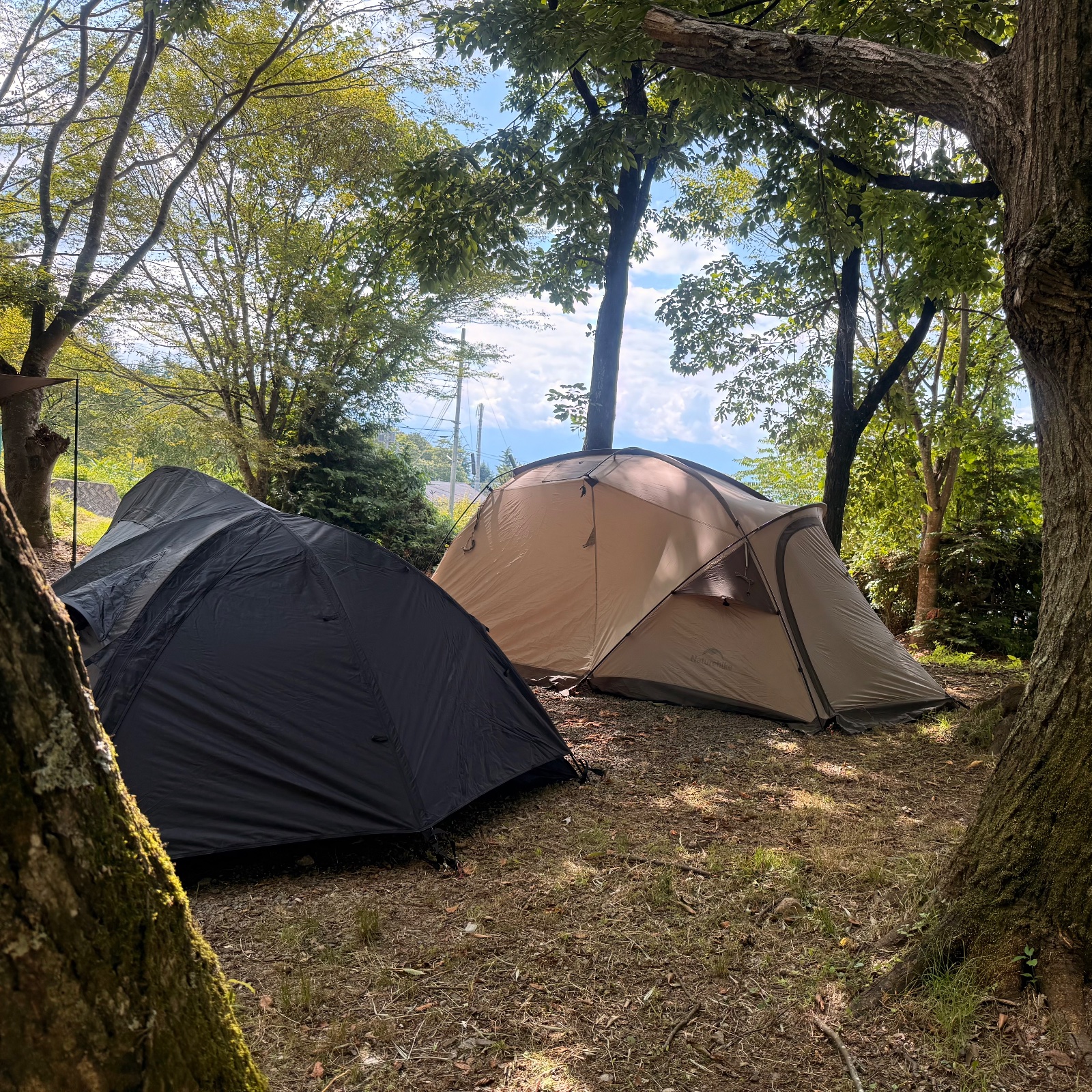 黒坂オートキャンプ場