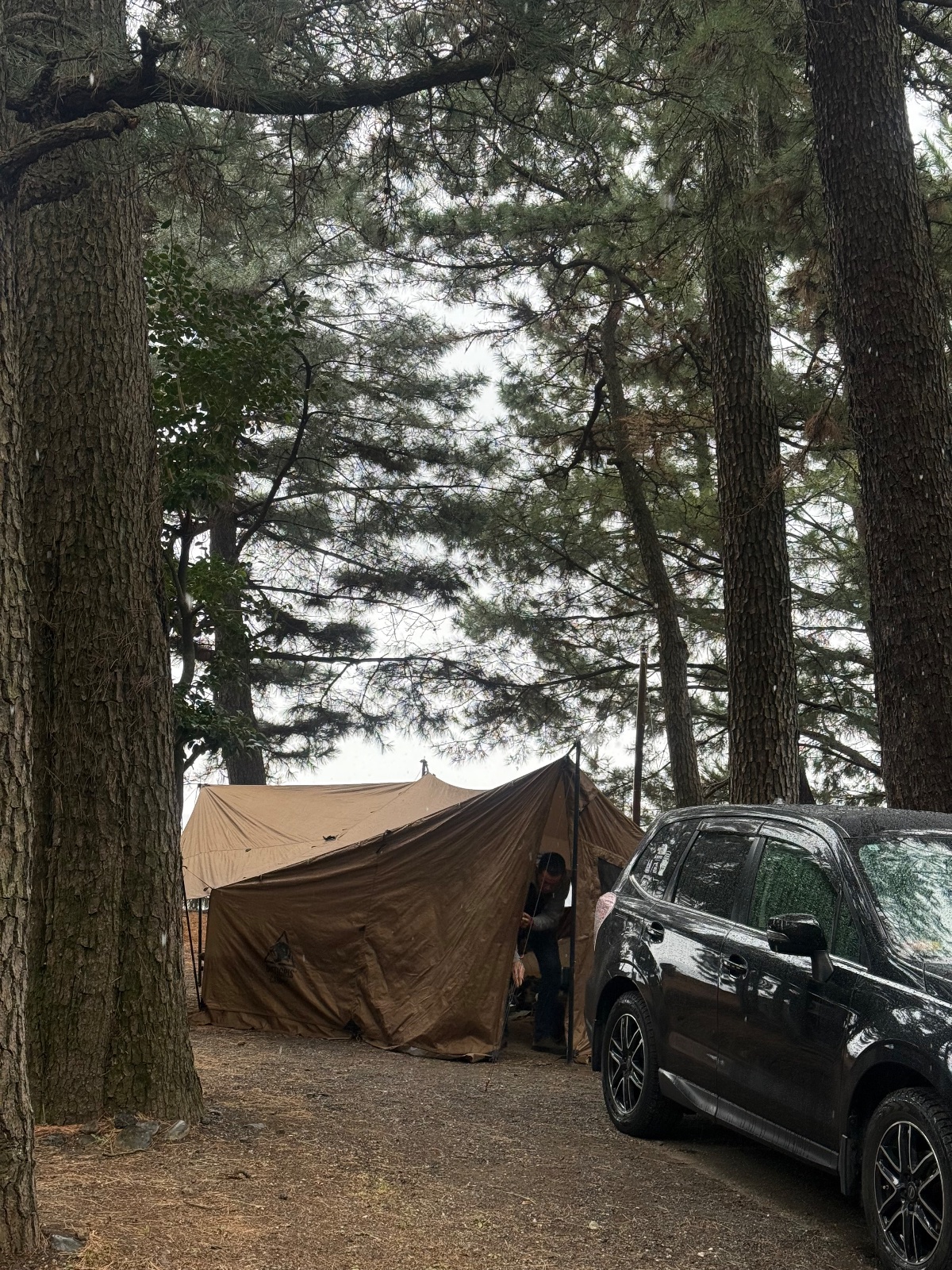 なみのこ村