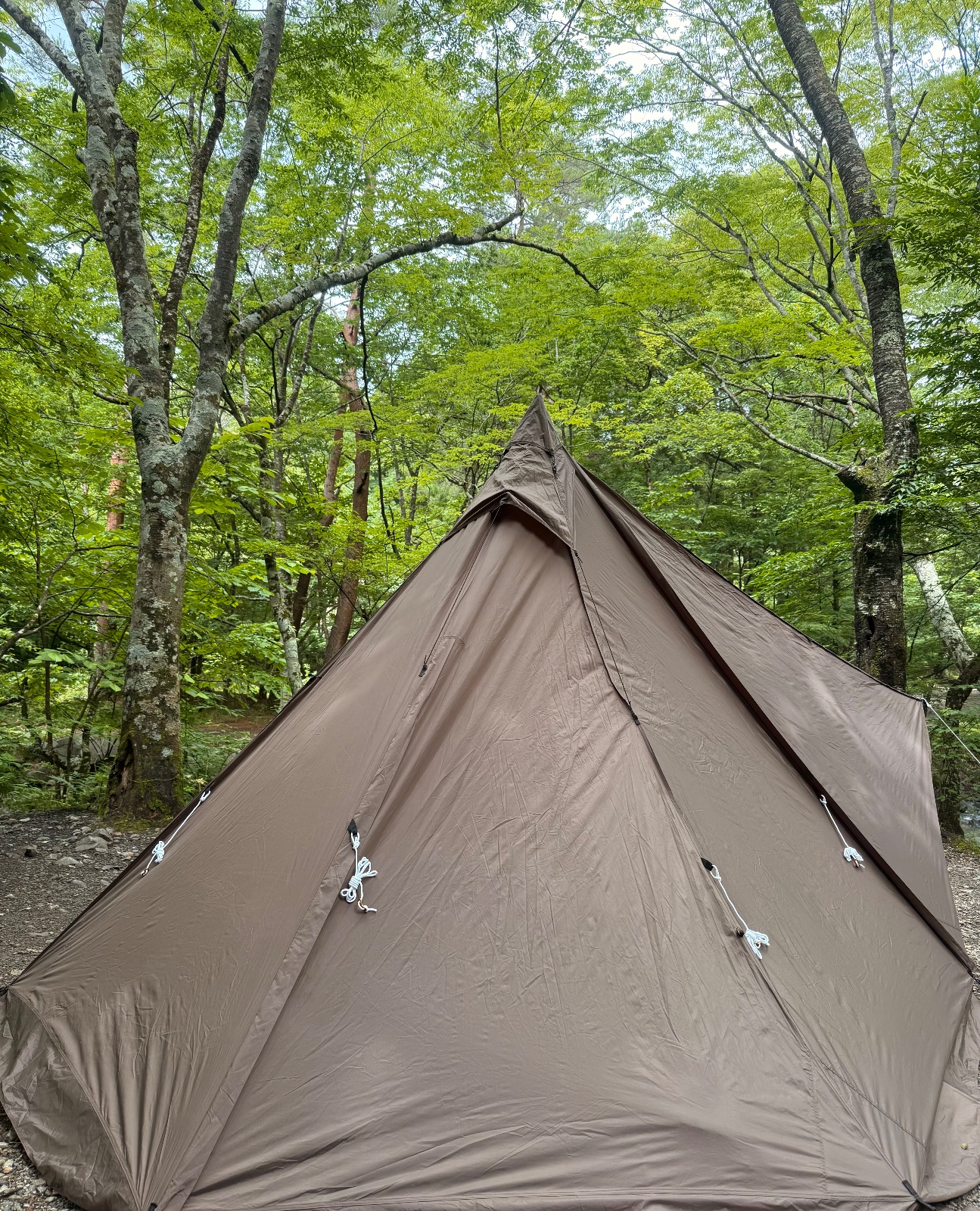 道志の森キャンプ場