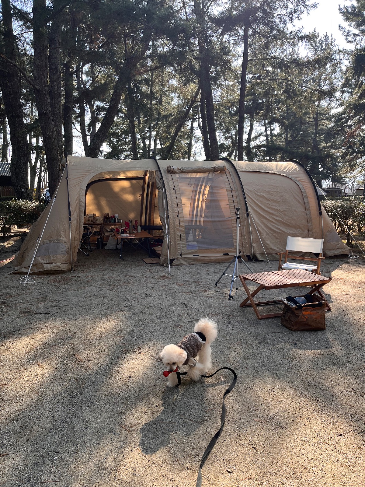 マイアミ浜オートキャンプ場