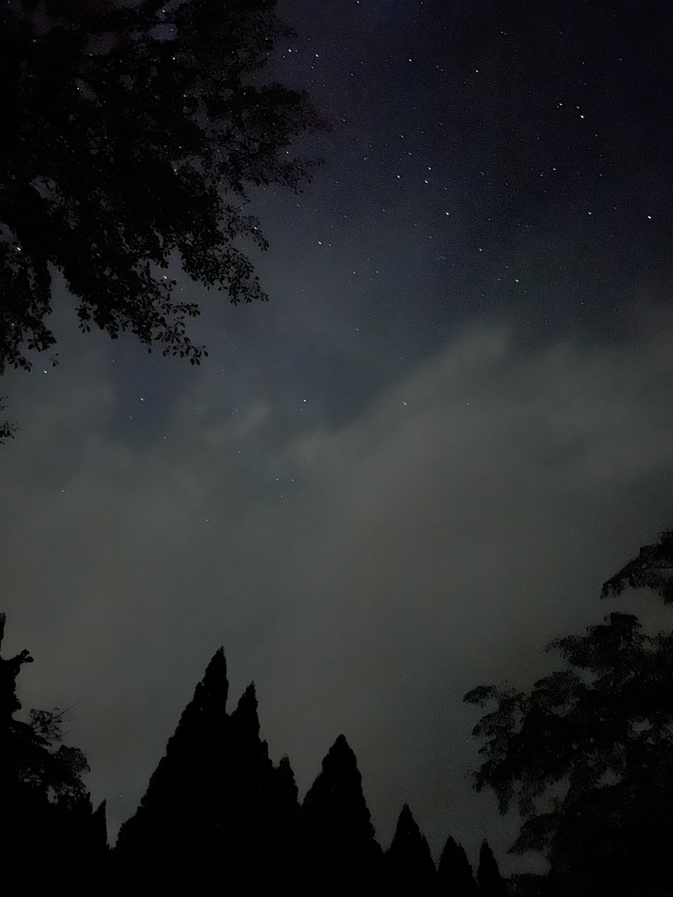 曇ってたけど、それでも沢山の星を見れたよ