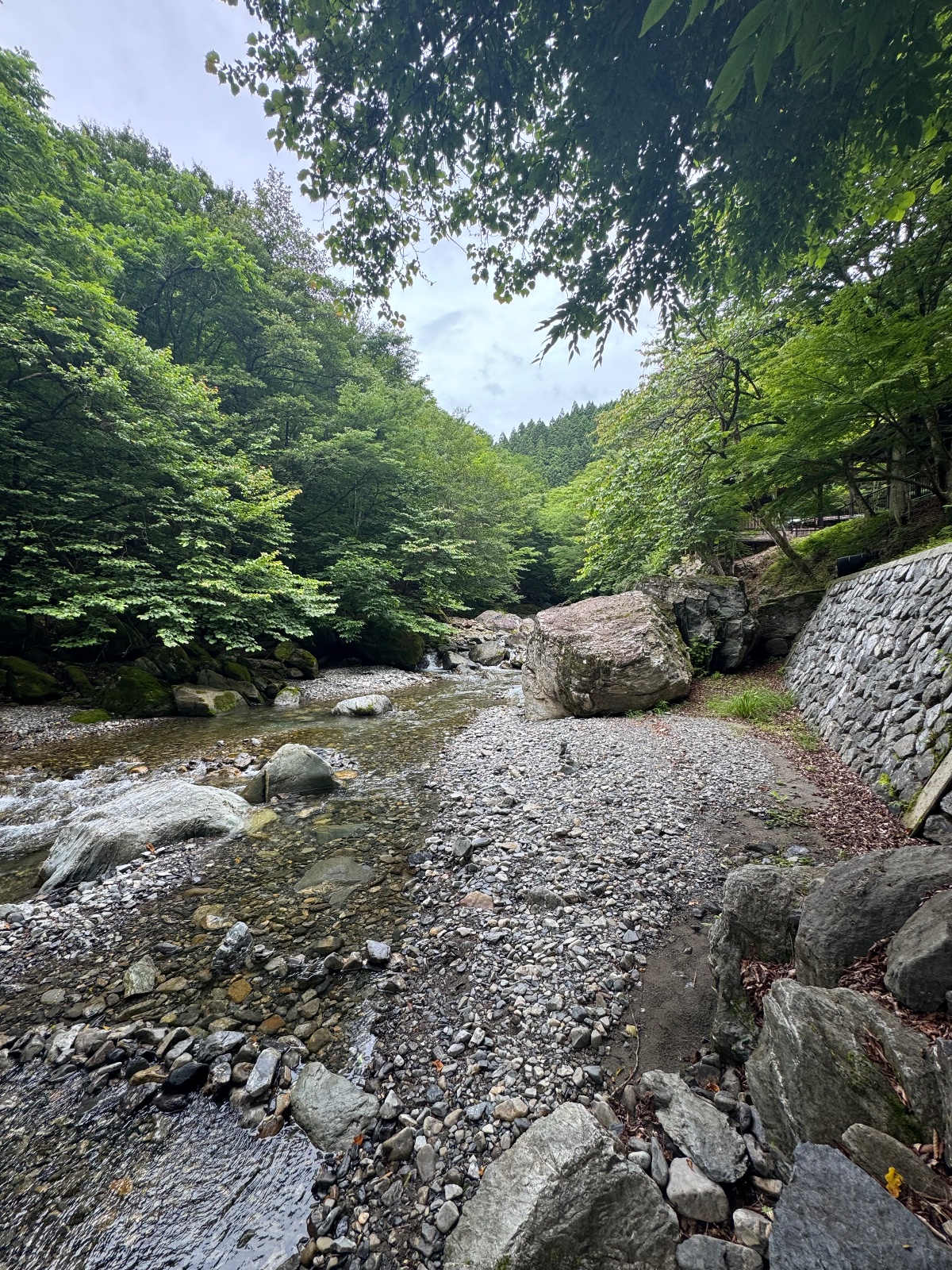 入川渓谷夕暮キャンプ場