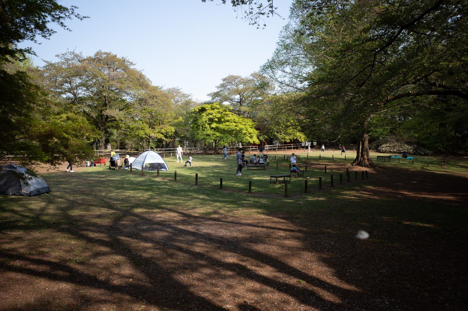 清水公園キャンプ場